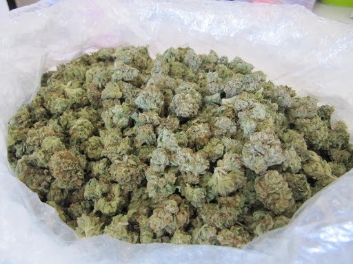 mistä ostaa marihuanaa tanskassa – SuomiWeed.Com – 0034602174422 buy ...
